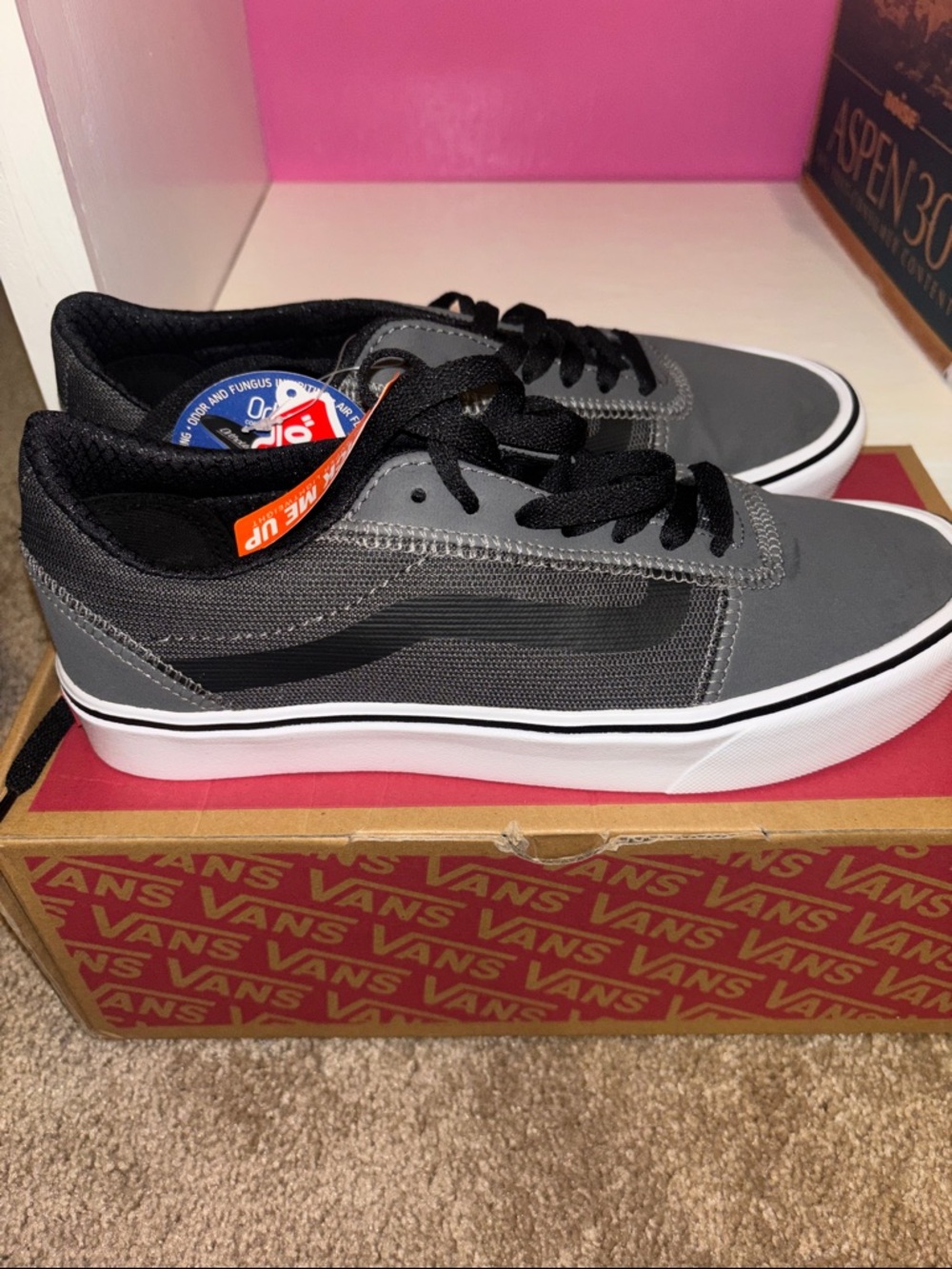 Vans Gray and Black Low-Top Skate Sneakers